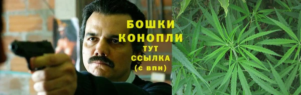 тгк Белокуриха
