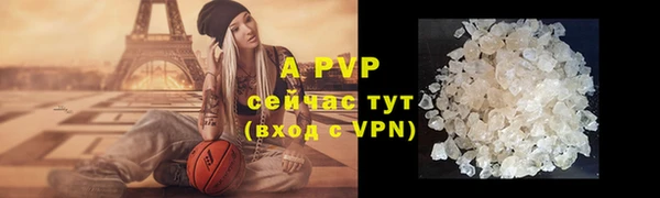 тгк Белокуриха