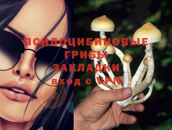 тгк Белокуриха