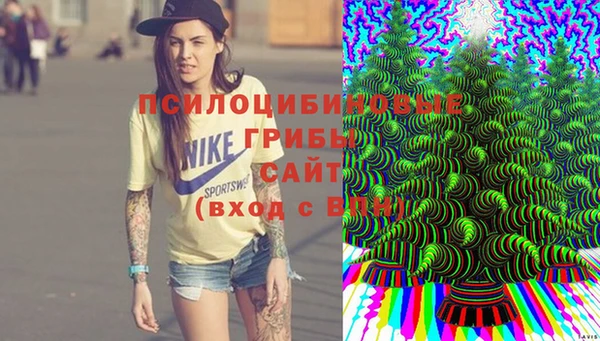 крисы Беломорск