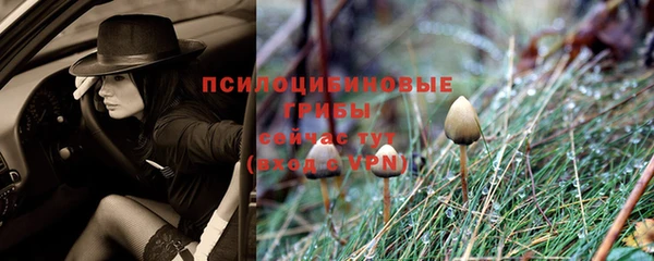 крисы Беломорск